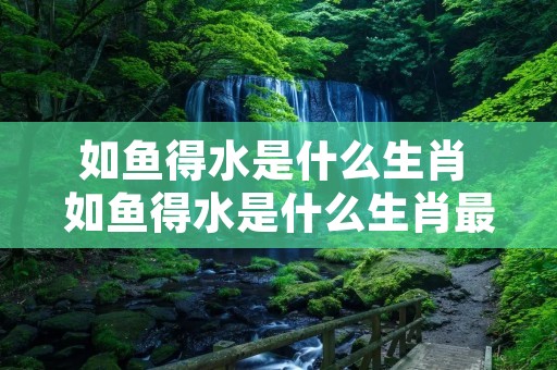如鱼得水是什么生肖 如鱼得水是什么生肖最佳答案