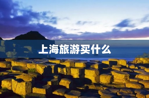 上海旅游买什么