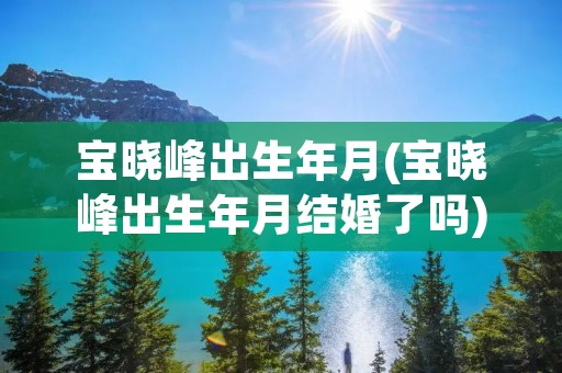 宝晓峰出生年月(宝晓峰出生年月结婚了吗)
