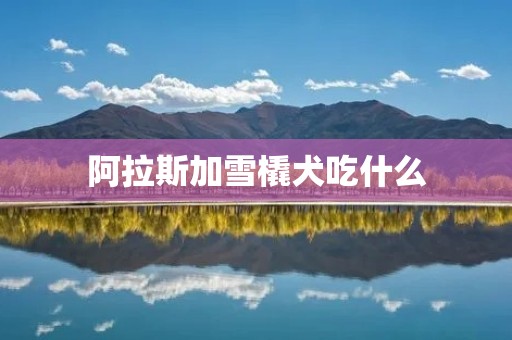 阿拉斯加雪橇犬吃什么