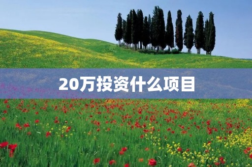 20万投资什么项目
