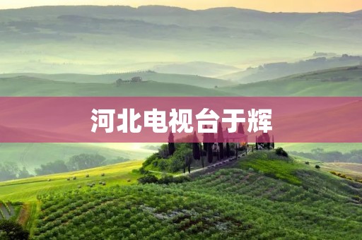 河北电视台于辉：探寻媒体行业的未来之路