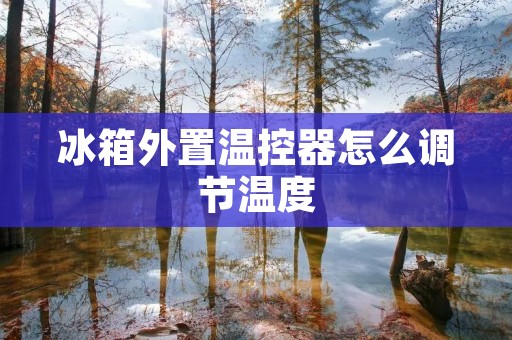 冰箱外置温控器怎么调节温度 冰箱外置温控器怎么调节温度