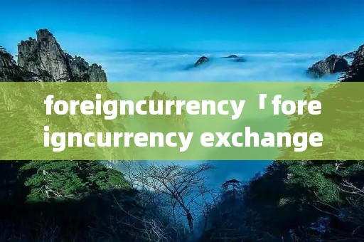 foreigncurrency「foreigncurrency exchange怎么读」