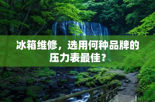 冰箱维修,选用何种品牌的压力表最佳? 冰箱维修,选用何种品牌的压力表最佳?