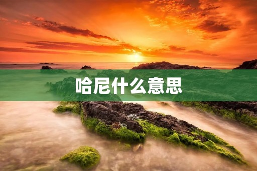 哈尼什么意思