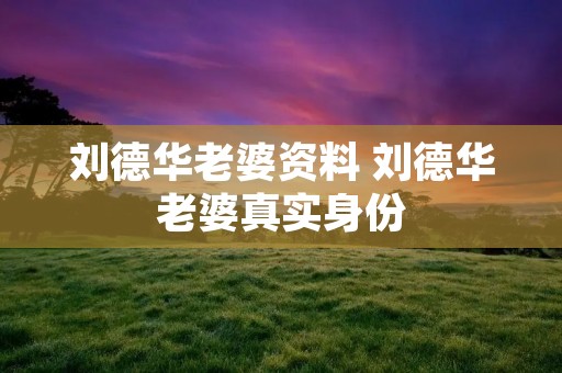 刘德华老婆资料 刘德华老婆真实身份 刘德华老婆资料 刘德华老婆真实身份