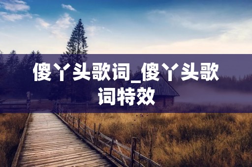 傻丫头歌词_傻丫头歌词特效