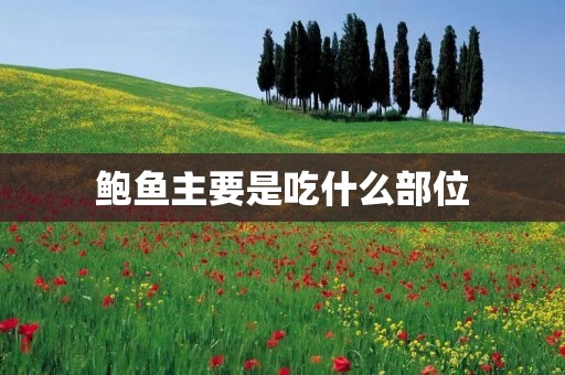 鲍鱼主要是吃什么部位