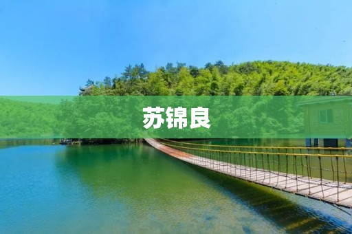 苏锦良:中国电影界的瑰宝 苏锦良:中国电影界的瑰宝