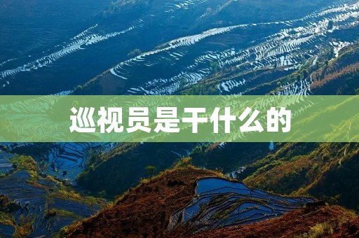 巡视员是干什么的