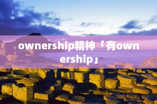 ownership精神「有ownership」