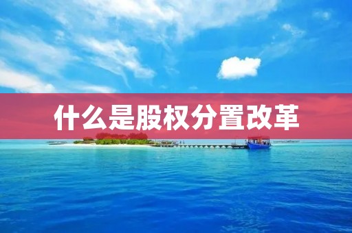 什么是股权分置改革