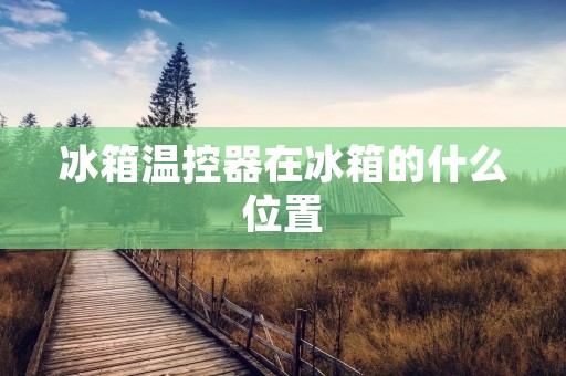 冰箱温控器在冰箱的什么位置 冰箱温控器在冰箱的什么位置