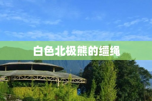 白色北极熊的缰绳：一种保护与关怀的象征