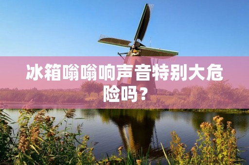 冰箱嗡嗡响声音特别大危险吗? 冰箱嗡嗡响声音特别大危险吗?