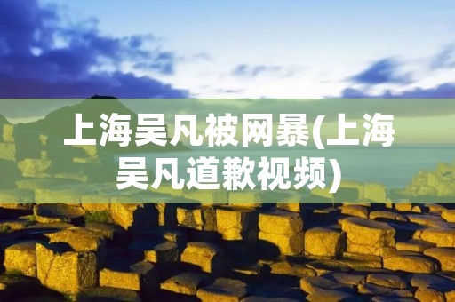 上海吴凡被网暴(上海吴凡道歉视频)