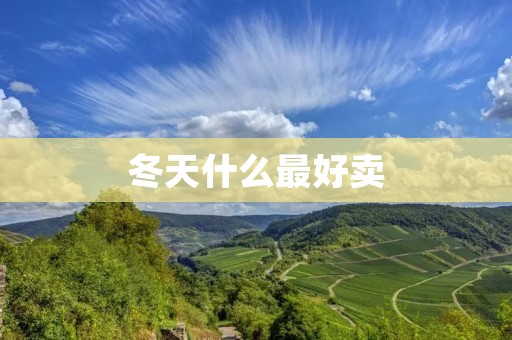 冬天什么最好卖