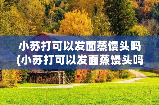 小苏打可以发面蒸馒头吗(小苏打可以发面蒸馒头吗比例) 小苏打可以发面蒸馒头吗(小苏打可以发面蒸馒头吗比例)