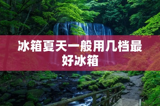 冰箱夏天一般用几档最好冰箱