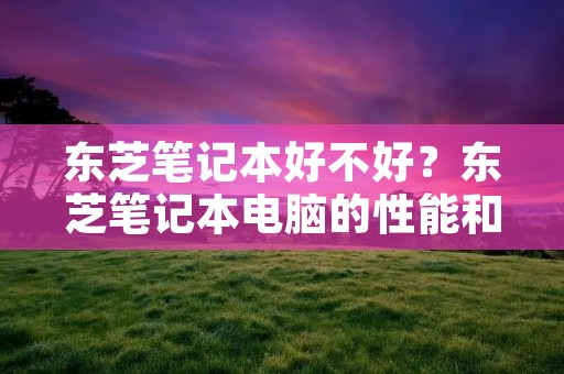 东芝笔记本好不好？东芝笔记本电脑的性能和质量怎么样？