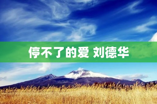 停不了的爱 刘德华：一个歌手的传奇人生