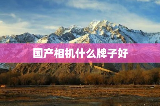 国产相机什么牌子好 国产相机什么牌子好