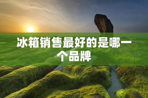 冰箱销售最好的是哪一个品牌 冰箱销售最好的是哪一个品牌