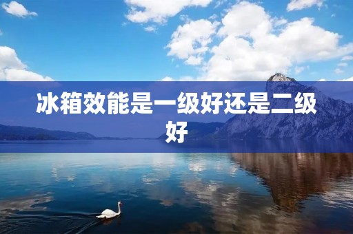 冰箱效能是一级好还是二级好 冰箱效能是一级好还是二级好