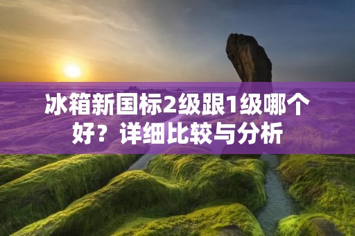冰箱新国标2级跟1级哪个好？详细比较与分析