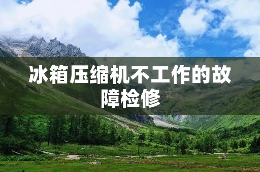 冰箱压缩机不工作的故障检修 冰箱压缩机不工作的故障检修