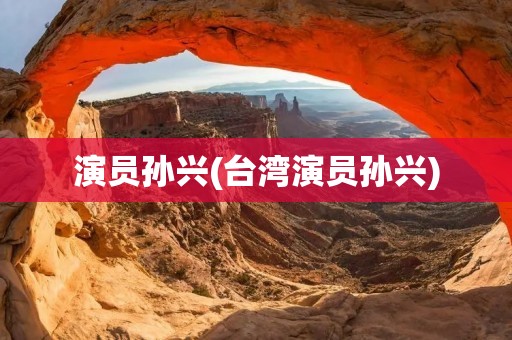 演员孙兴(台湾演员孙兴)