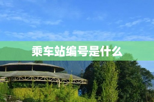 乘车站编号是什么