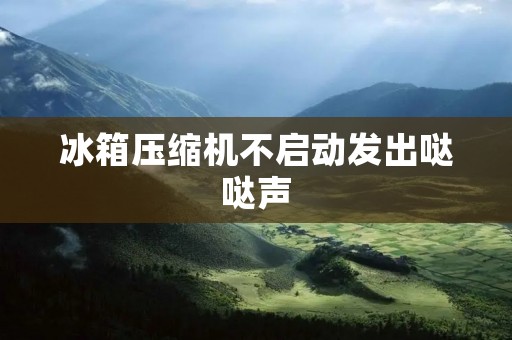 冰箱压缩机不启动发出哒哒声：原因及解决方法