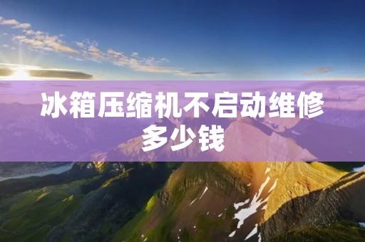 冰箱压缩机不启动维修多少钱:详细描述 冰箱压缩机不启动维修多少钱:详细描述