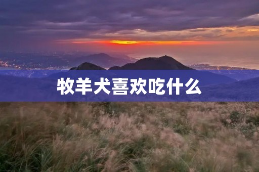 牧羊犬喜欢吃什么 牧羊犬喜欢吃什么