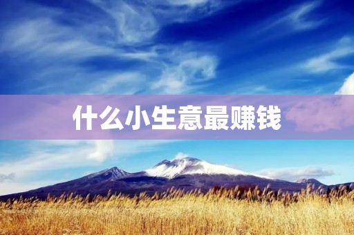 什么小生意最赚钱 什么小生意最赚钱