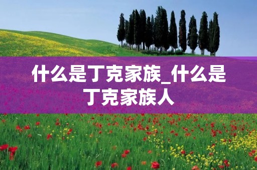 什么是丁克家族_什么是丁克家族人