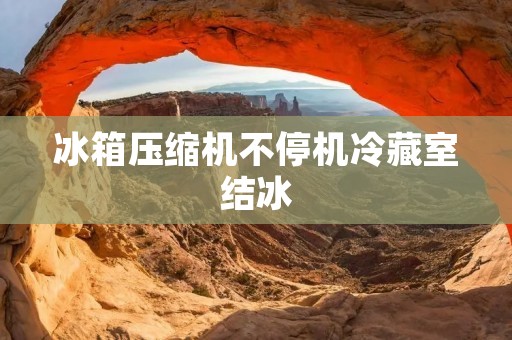 冰箱压缩机不停机冷藏室结冰：原因与解决方法