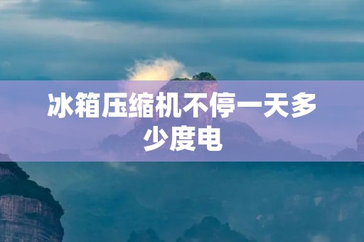 冰箱压缩机不停一天多少度电