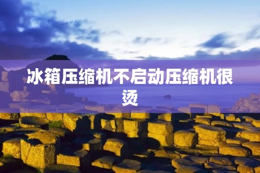 冰箱压缩机不启动压缩机很烫:探究原因与解决方法 冰箱压缩机不启动压缩机很烫:探究原因与解决方法