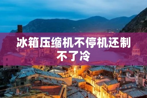 冰箱压缩机不停机还制不了冷:原因与解决方法揭秘 冰箱压缩机不停机还制不了冷:原因与解决方法揭秘