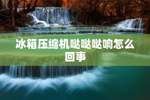 冰箱压缩机哒哒哒响怎么回事：详细解析冰箱压缩机噪音问题