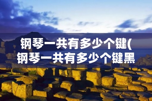 钢琴一共有多少个键(钢琴一共有多少个键黑白键共有多少)