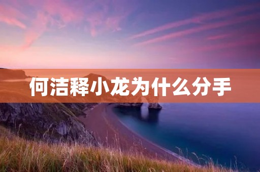 何洁释小龙为什么分手