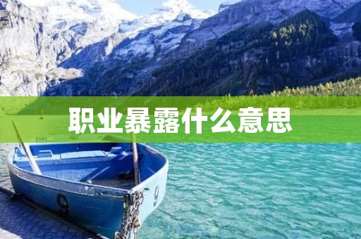 职业暴露什么意思