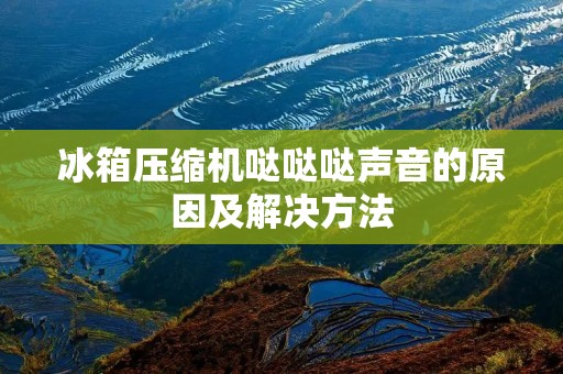 冰箱压缩机哒哒哒声音的原因及解决方法 冰箱压缩机哒哒哒声音的原因及解决方法
