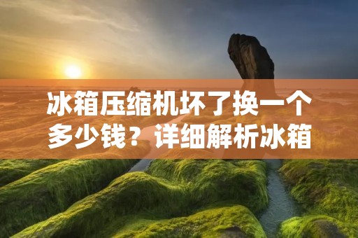 冰箱压缩机坏了换一个多少钱？详细解析冰箱压缩机更换费用