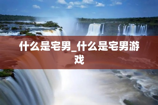什么是宅男_什么是宅男游戏 什么是宅男_什么是宅男游戏