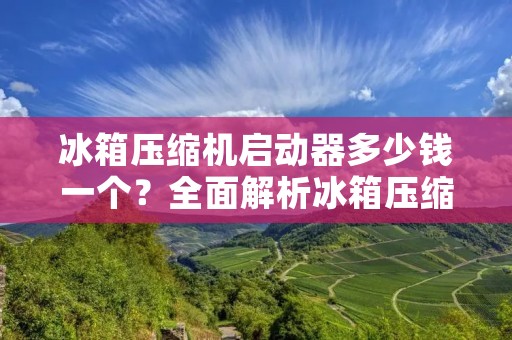 冰箱压缩机启动器多少钱一个?全面解析冰箱压缩机启动器的价格与性能 冰箱压缩机启动器多少钱一个?全面解析冰箱压缩机启动器的价格与性能